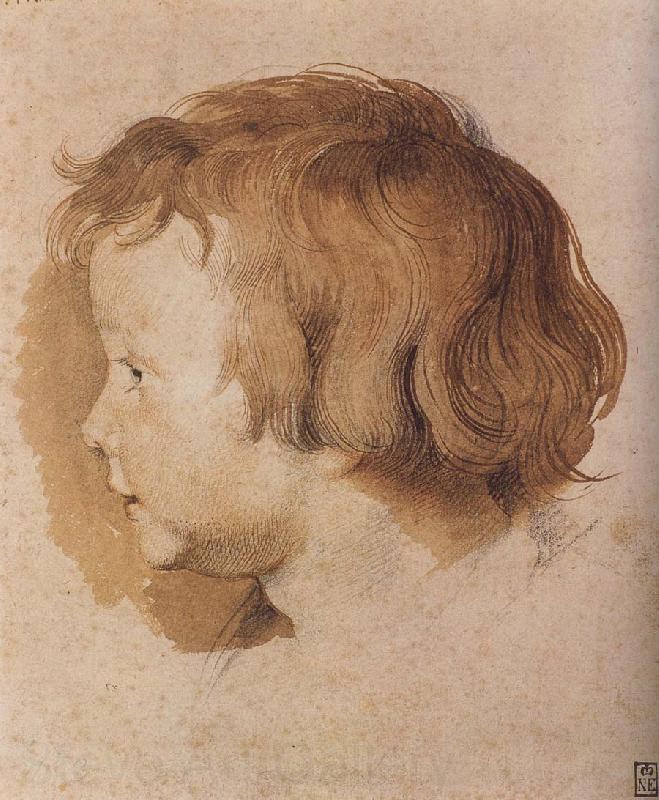 Peter Paul Rubens Portrait of Younger Rubens Spain oil painting art